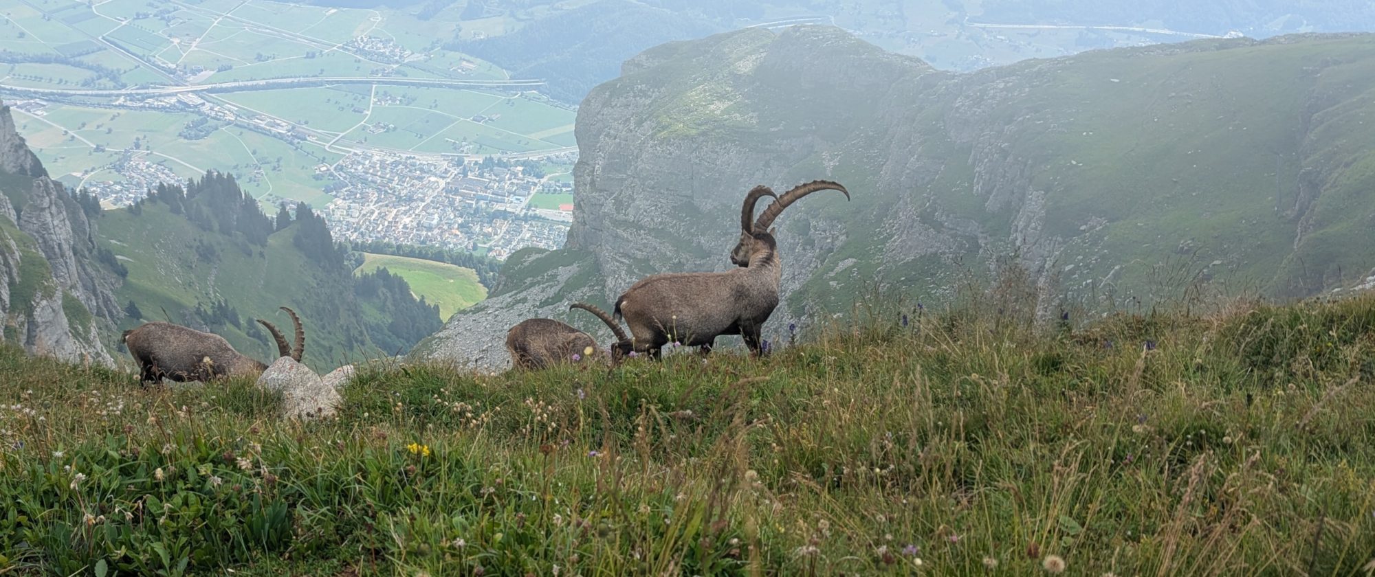 andere Besucher andere Besucher