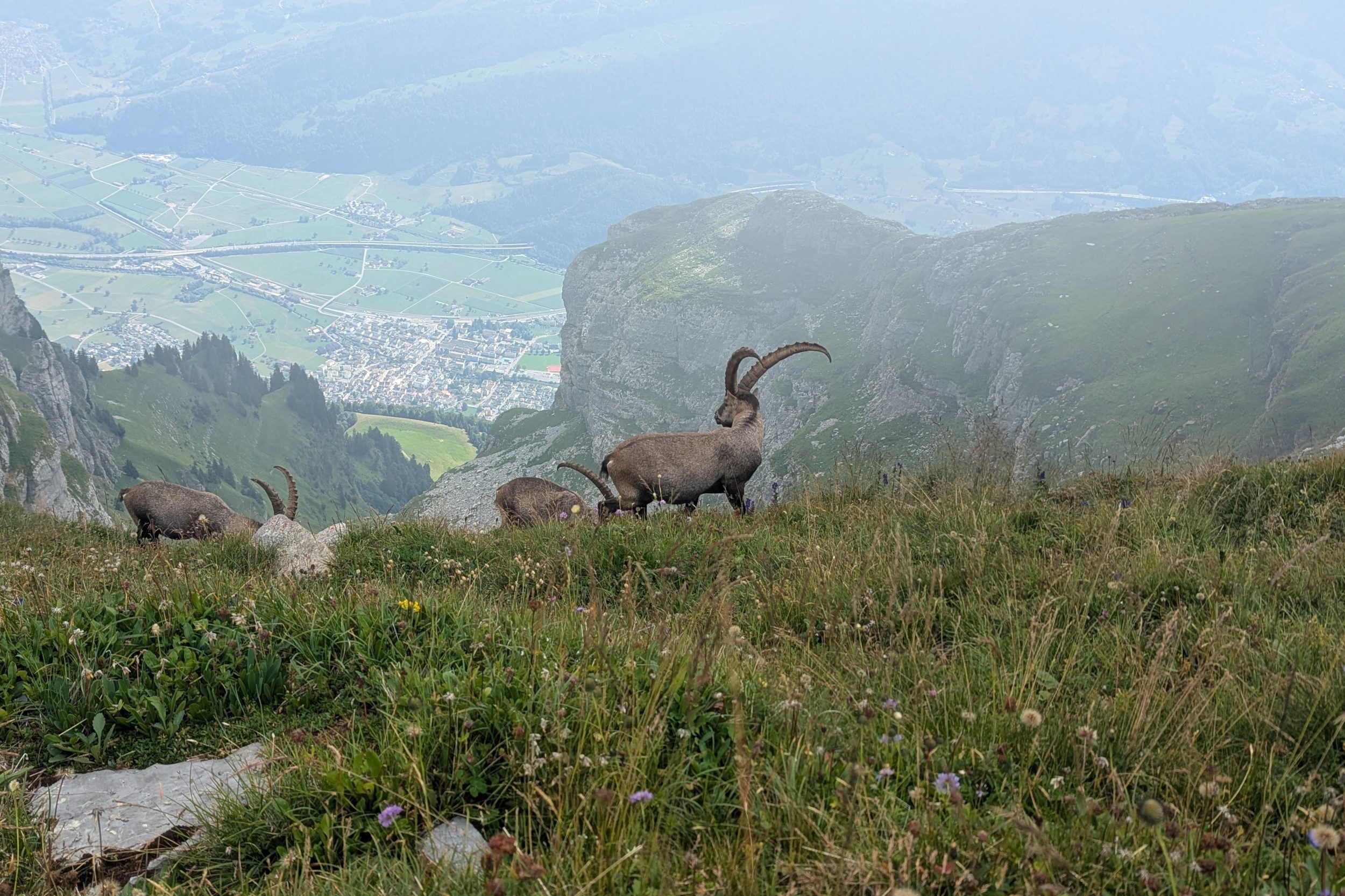 andere Besucher andere Besucher